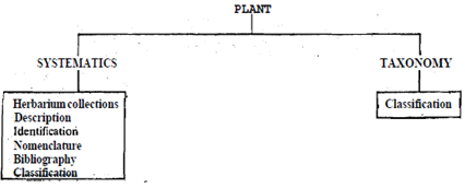 1517_Difference between plant systematic and taxonomy.png